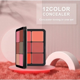 12 Color Blush Concealer Set Natural Blemish Brightening Highlighter 16 Color Waterproof face contour cream palette custom logo